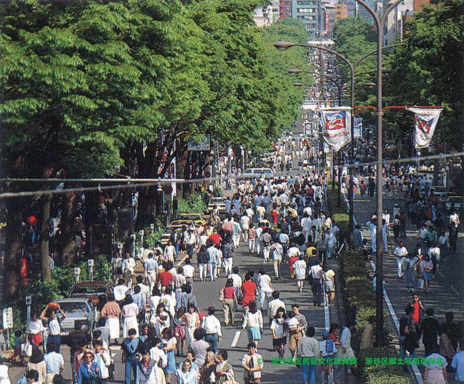 🏞️ 도쿄 임해 광역 방재 공원(도쿄 린카이 코우이키 보우사이 코우엔) 이미지 8